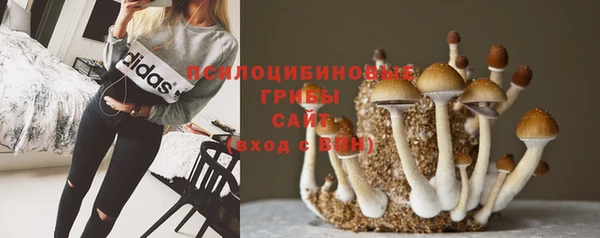 дурь Беломорск