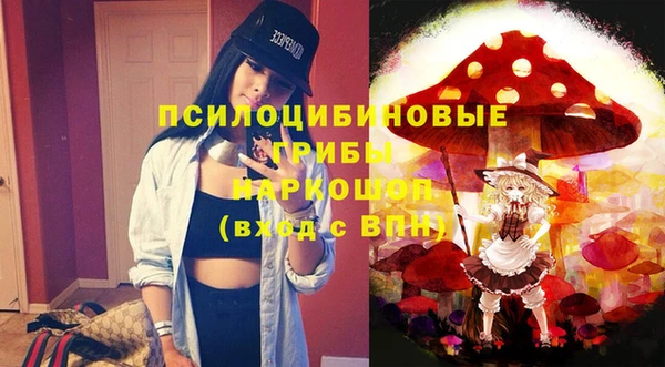 мдпв Белокуриха